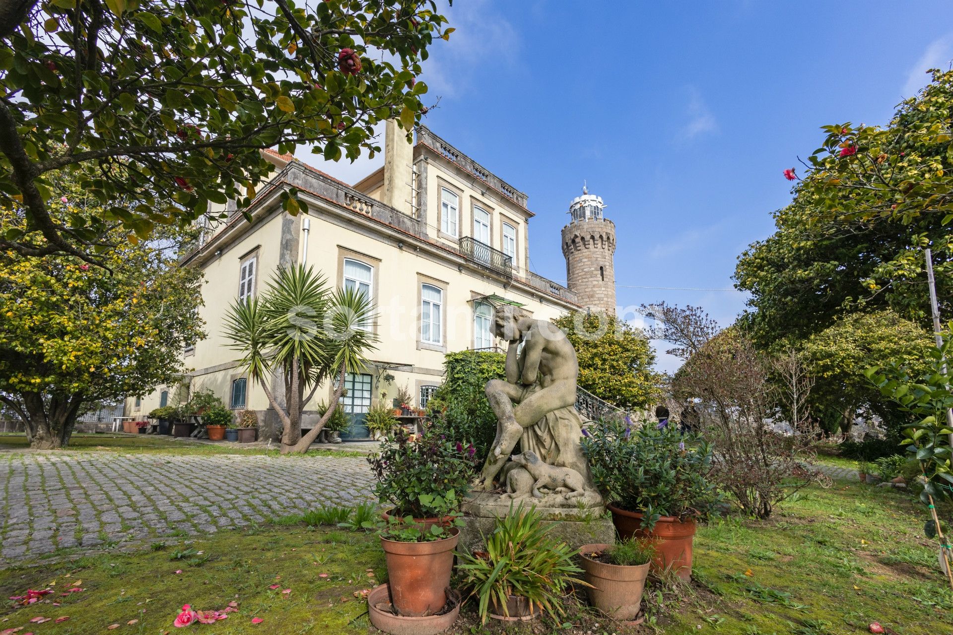 House Image